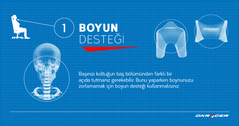 Boyun Desteği