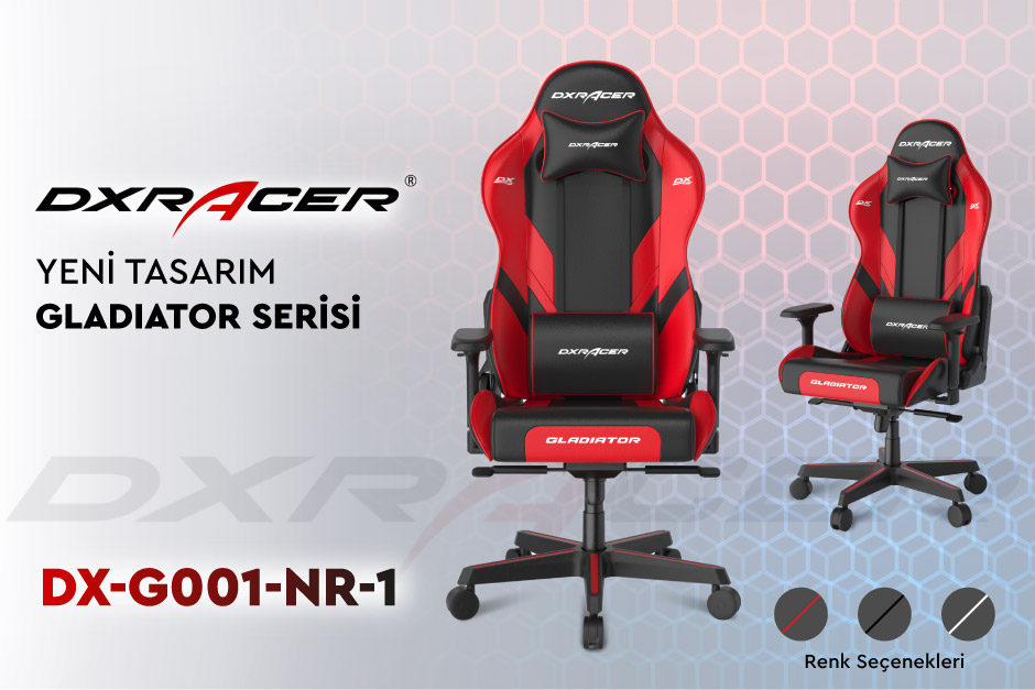 DX-G001-NR-1-üst-banner.jpg (119 KB)
