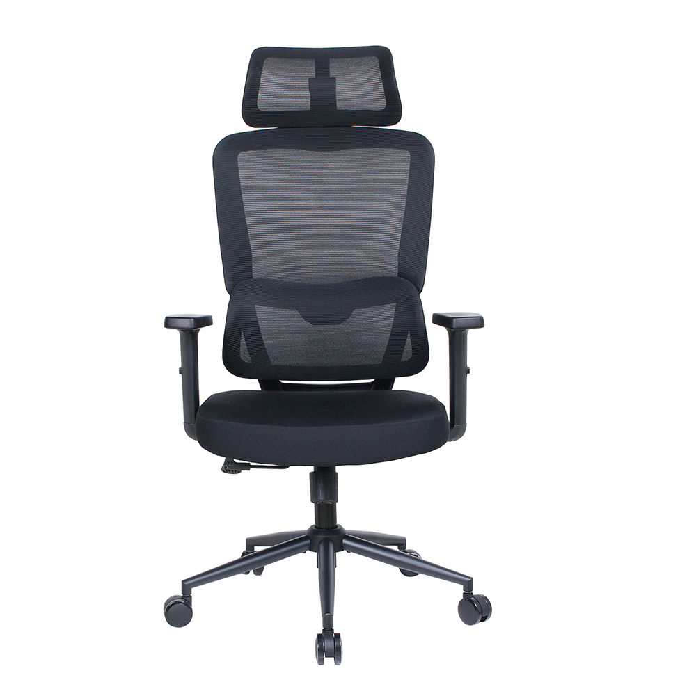 Reflex-S Full Ergonomic Yönetici ve Çalışma Koltuğu File Kumaş - Siyah 66x124-134x-74 cm